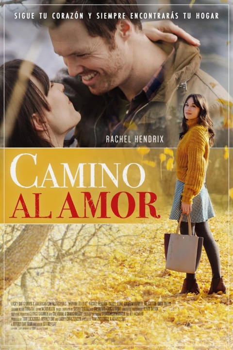 Camino al Amor — póster