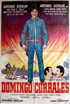 Poster Domingo Corrales
