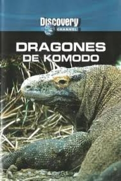 Poster Attack of the Killer Dragons