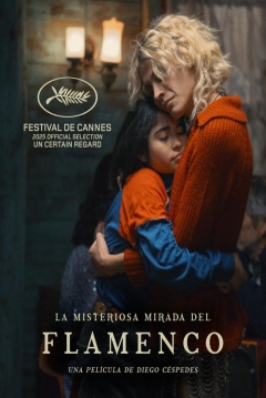 Poster La Misteriosa Mirada del Flamenco