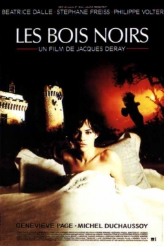 Poster Dark Woods