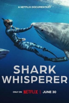 Poster Encantadora de tiburones