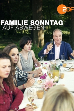 Poster La familia Sonntag a la deriva