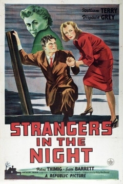 Poster Extraños en la noche