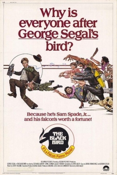 Poster El Halcón Negro
