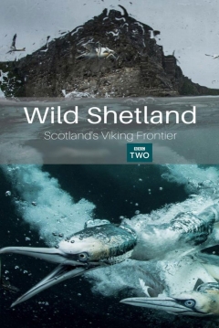 Poster Las islas Shetland: La frontera vikinga de Escocia