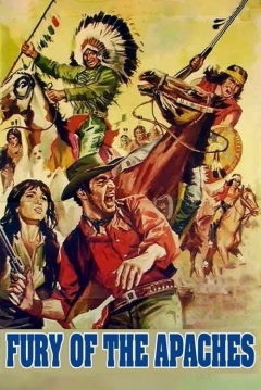 Poster El Hombre de la Diligencia