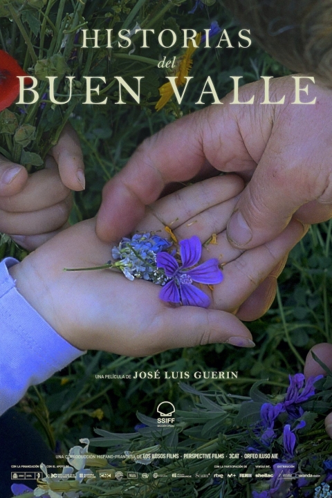 Poster Historias del buen valle