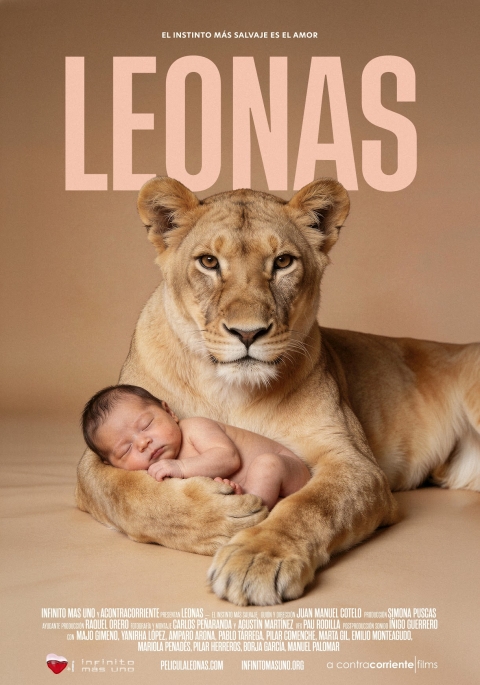 Ficha Leonas