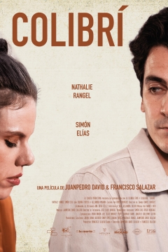 Poster Colibrí