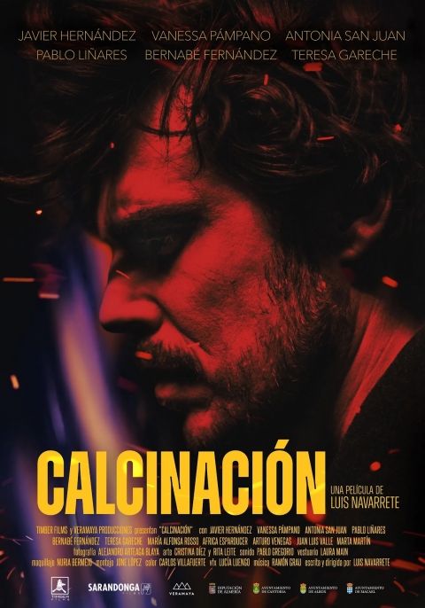 Ficha Calcinación