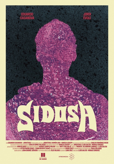Ficha Sidosa