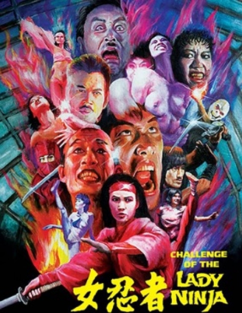 Poster El desafío de Lady Ninja