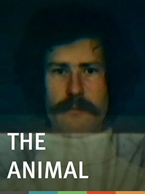 Poster The Animal
