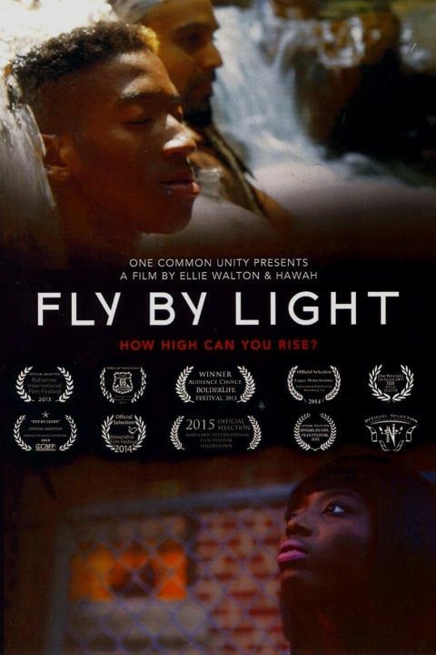 Poster Fly by Light