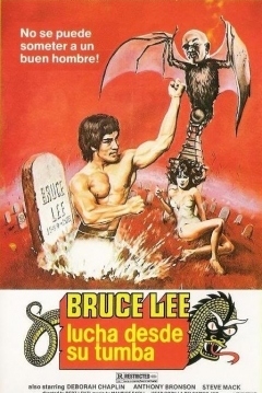 Ficha Bruce Lee Lucha desde la Tumba (Bruce Lee Contraataca desde la Tumba)