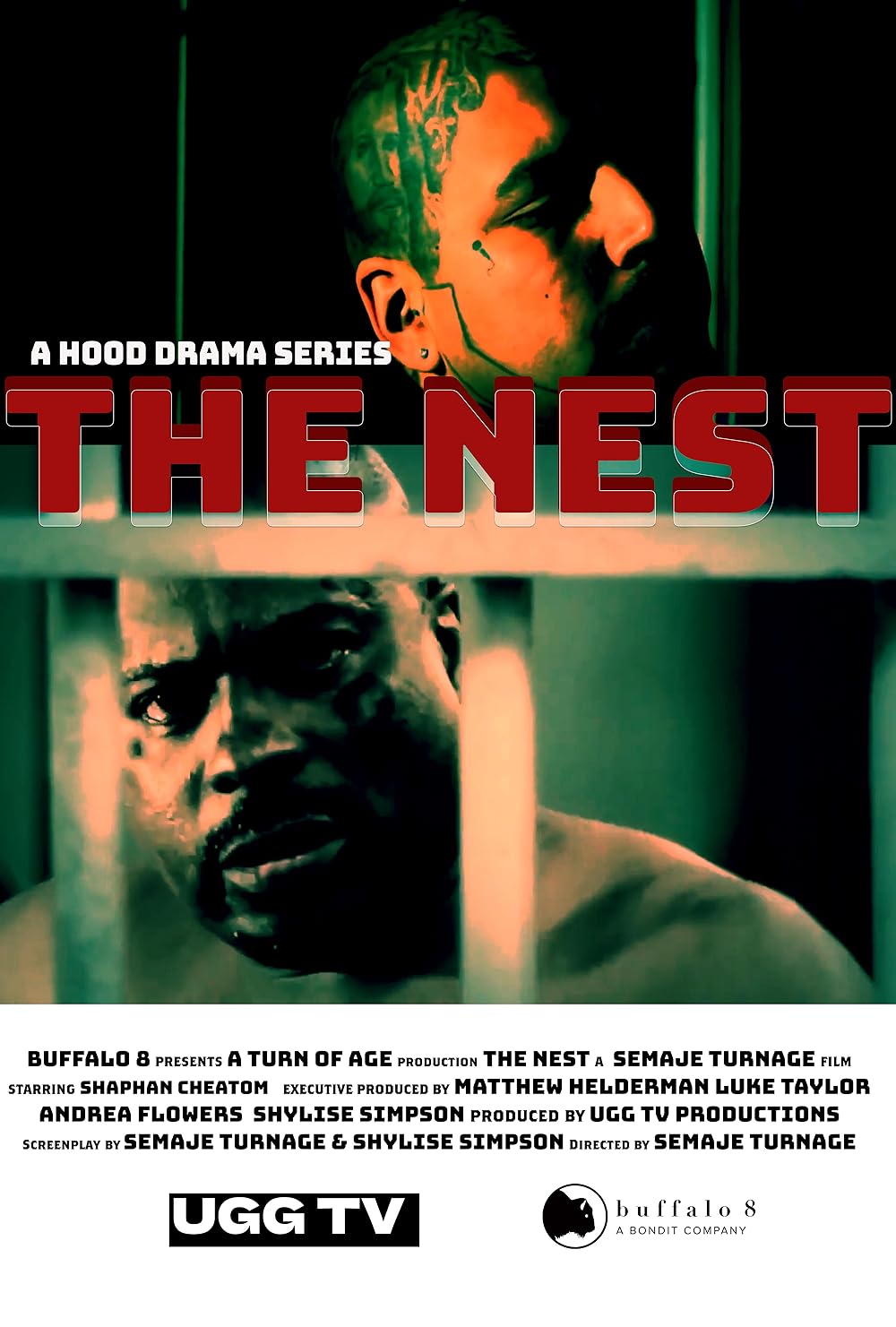 Poster The Nest