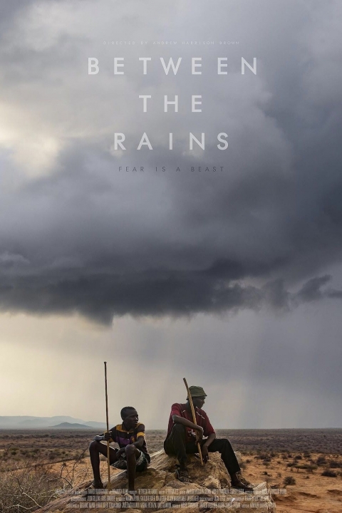 Poster Entre las lluvias