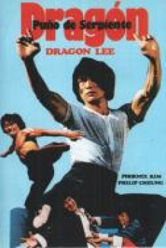 Poster Dragon Puño de Serpiente