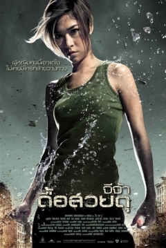 Poster Raging Phoenix