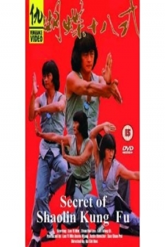 Poster El Secreto de Shaolin Kung Fu