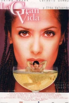 Poster La Gran Vida
