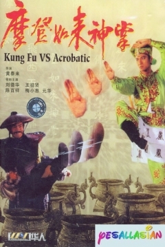 Poster Kung Fu VS Acrobatic