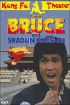Poster La Venganza de Shaolin