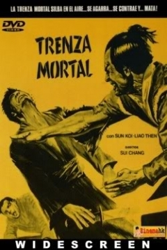 Poster Trenza Mortal