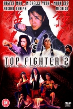 Poster Top Fighter 2