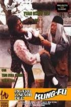 Poster Pícaro y Señor del Kung-Fu