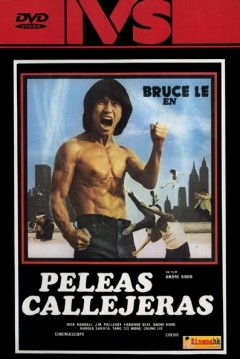 Poster Peleas Callejeras