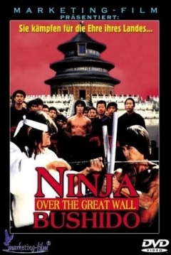 Poster Ninja en la Gran Muralla