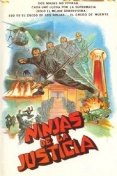 Poster Ninjas de la Justicia
