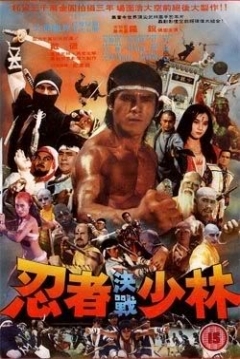 Poster Ninja vs. Shaolin: Duelo Final