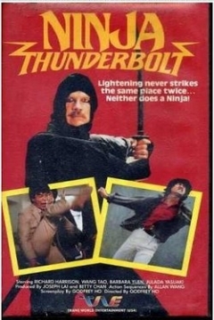 Poster Ninja Thunderbolt