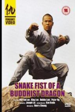 Poster Lucha de la Serpiente del Dragon Budista