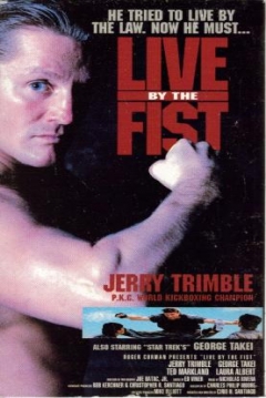 Poster Kickboxer King