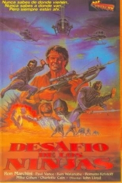 Poster El Desafio de los Ninjas