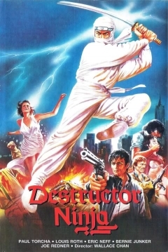 Poster Destructor Ninja