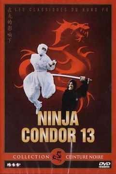 Poster Ninja Condor 13