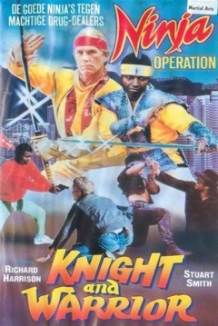 Poster Ninja Operation: Knight and Warrior