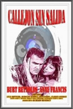 Poster Callejon sin Salida