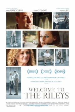 Ficha Welcome to the Rileys 