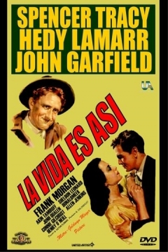Poster La Vida es Así