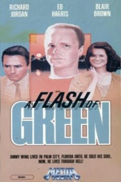 Ficha A Flash of Green