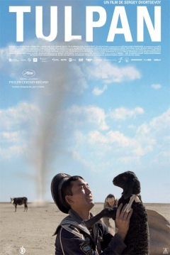 Poster Tulpan