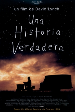 Una Historia Verdadera — póster