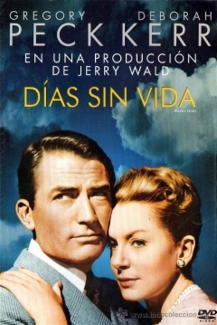 Poster Días sin Vida