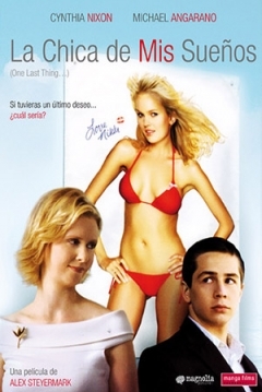 Poster La Chica de mis Sueños (Una Ultima Cosa)